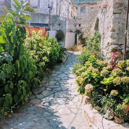 Alkinoos Lejlighed Ágios Matthaíos